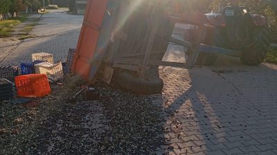 Erdek ‘te  zeytin yüklü traktör römorkunun devrilmesi sonucu 5 kişi