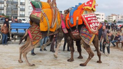 Burhaniye Deveciler Derneği Başkanı Sadık Varol ve yönetim kurulu üyeleri
