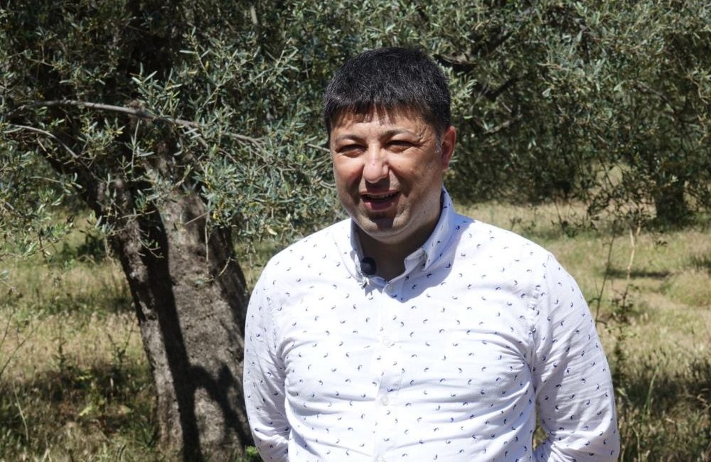 Hasat sonrası zeytin ağaçlarını budamayın gübre atmayın Balıkesir Üniversitesi (BAÜN) Edremit Meslek Yüksekokulu Zeytincilik ve Zeytin İşleme