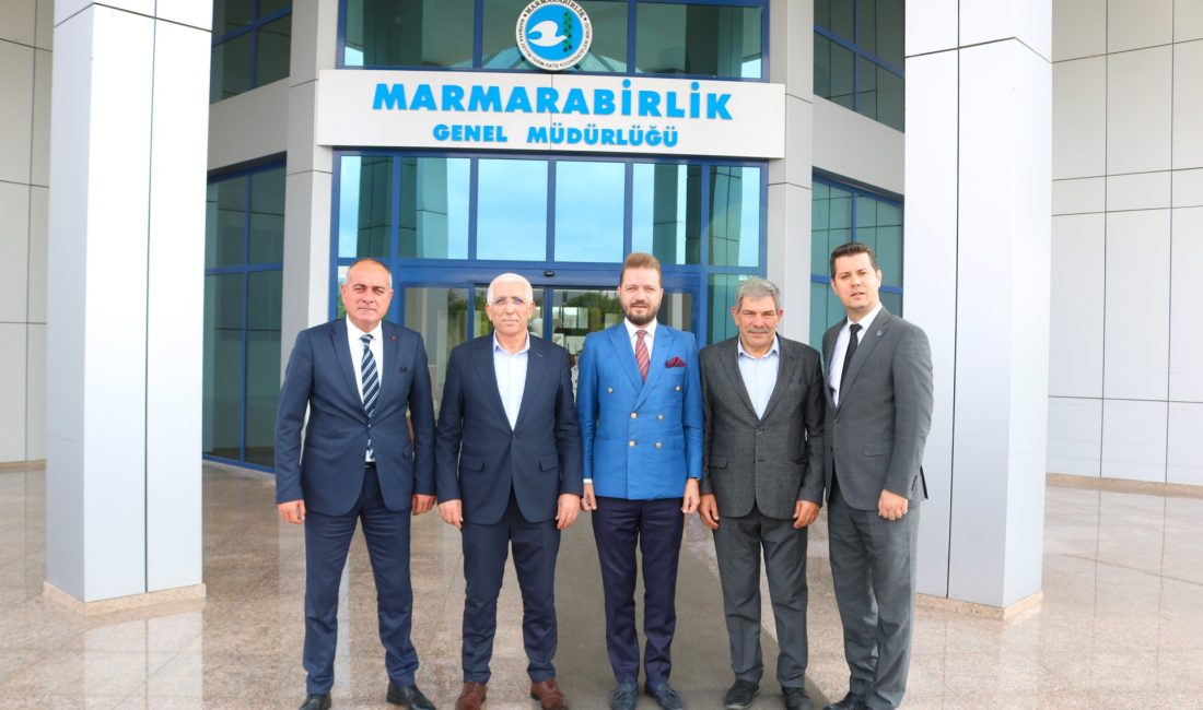 Bursa Büyükşehir Belediyesi’nden zeytin üreticisine destek Bursa Büyükşehir Belediyesi, Marmarabirlik ile zeytin üreticisine destek olmak üzere