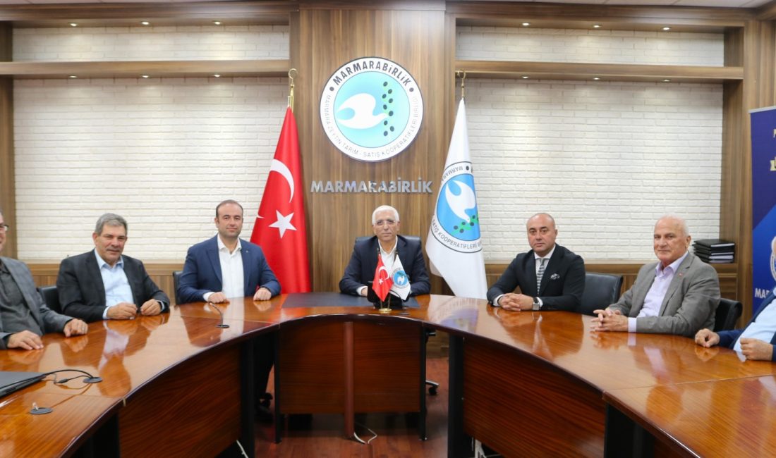 Marmarabirlik’in yeni Genel Müdürü Mehmet Ertaş oldu Dünyanın lider zeytin üreticisi Marmarabirlik’te üst düzey görev değişikliği yaşandı.