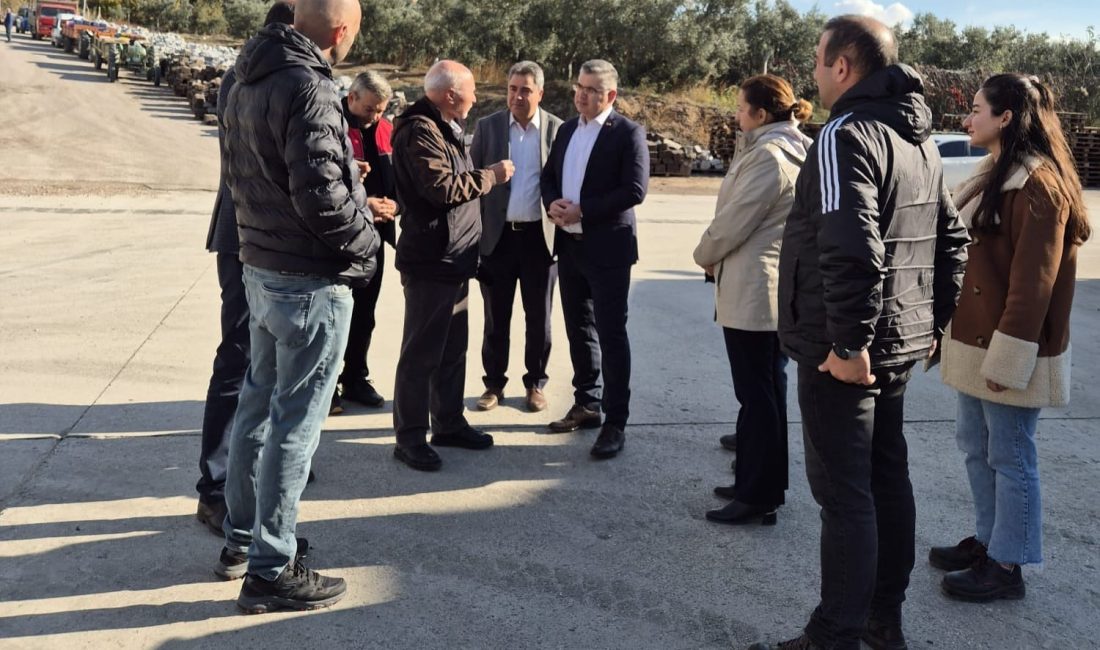 Balıkesir Tarım Müdürü’nden Bandırma ve Erdek’te üreticiye tam destek Balıkesir İl Tarım ve Orman Müdürü Erkan Alkan, zeytin ve
