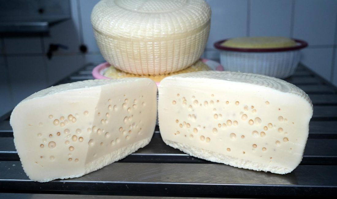 Bu da sepet peyniri Deniz ürünleri, mezeleri, zeytinyağı ve zeytinyağlı yemekleriyle gastronomi anlamında markalaşan