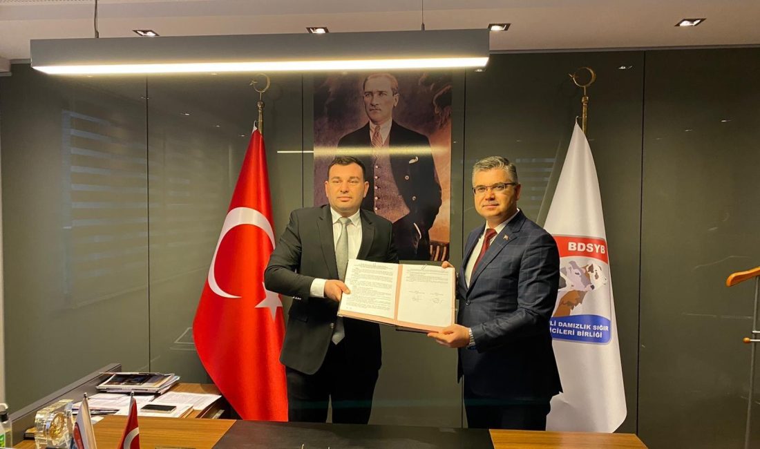 Balıkesir’de damızlık sığır kayıtları birlikle yapılacak Balıkesir İl Tarım ve Orman Müdürlüğü ile Balıkesir İli Damızlık