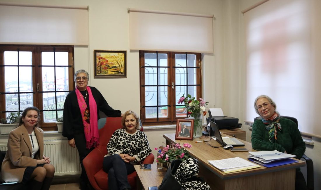 Germiyan: “Mecliste kadın oranı yüzde 50 olmalı” Kadın Dayanışma Derneği Başkanı Nilgün Germiyan, kadınların siyasetteki temsiliyet oranlarının