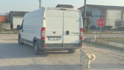 Sarıköy Mahallesi’nde Y.Ç. (51) ve A.A. (71) isimli şahıslar, kendilerine