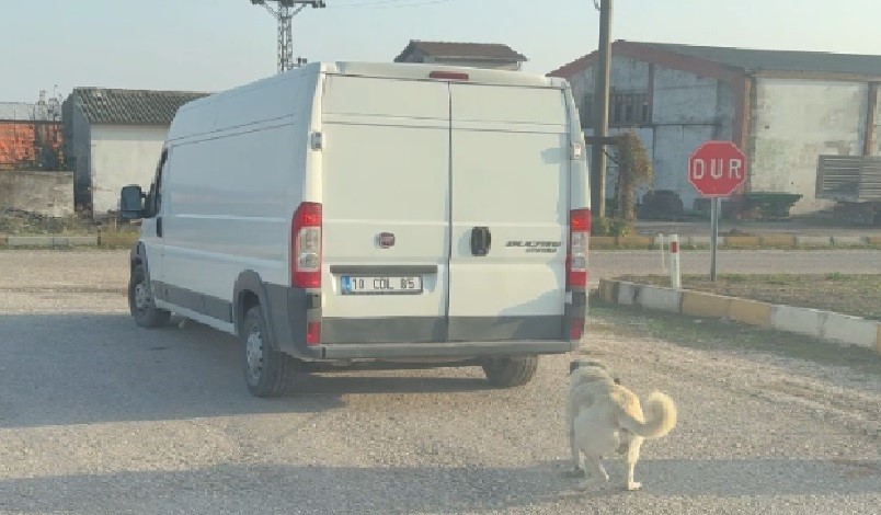 Kamyonetin arkasına bağlanarak sürüklenen köpek kurtarıldı, şahıslara cezai işlem uygulandı Sarıköy Mahallesi’nde Y.Ç. (51) ve A.A. (71) isimli şahıslar, kendilerine
