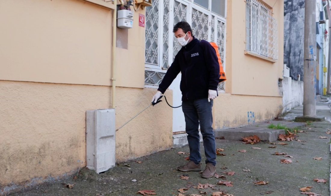 Susurluk’ta böcek ve kemirgenlere karşı önlemler alındı Susurluk Belediyesi tarafından metruk binalardan kamu kurumlarına kadar geniş bir