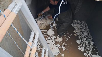 Güre Mahallesi’nde bir koyun düştüğü su deposunda mahsur kaldı. Çevredeki