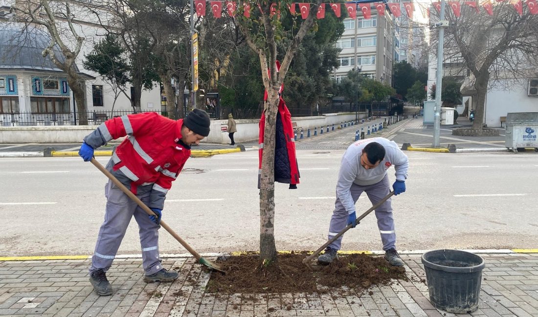 Bandırma Belediyesi’nden yaya güvenliği için çevre dostu adım Bandırma Belediyesi, kaldırımlarda yürüyüş konforunu artırmak için ağaç diplerindeki düzensiz