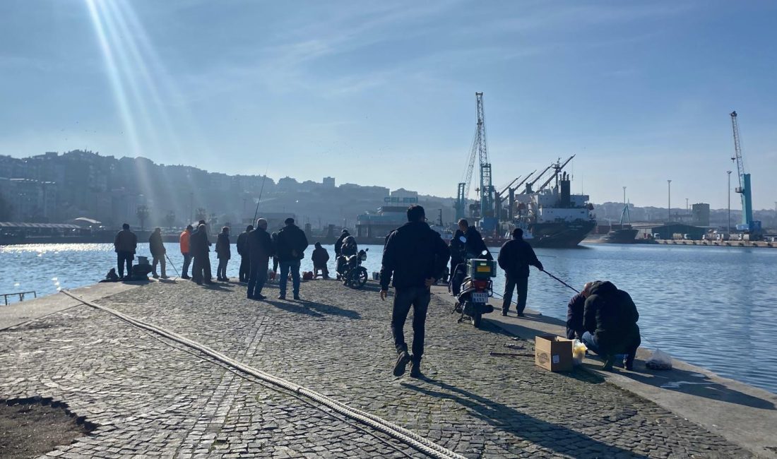 Av yasağının ardından denizlerde balık popülasyonu arttı. Güneşli havayı kaçırmayan