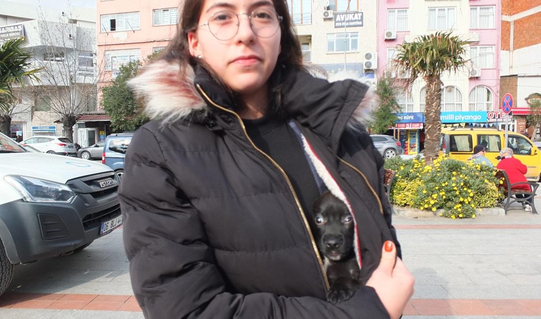 Burhaniyeli genç kızın hayvan sevgisi takdir topladı Burhaniye’de, lise öğrencisi Ilgın Duman’ın hayvan sevgisi takdir topladı. Çirkin