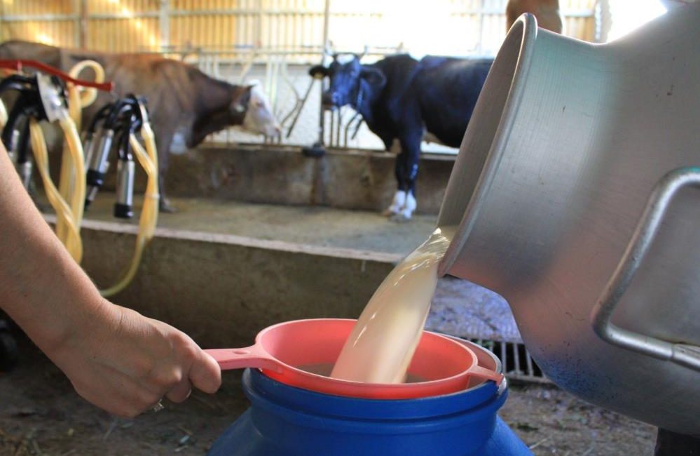 Çiğ süt 17,15 lira oldu, birlikler belirsizlikleri çözmeye çalışıyor Çiğ süt fiyatının 1 Ocak’tan itibaren 17,15 lira olmasına rağmen