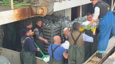 Erdek’te denize açılan balıkçıların ağlarına bir gecede 3 bin kasa