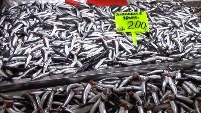Bursa’da geçen yılın son haftalarında denizden az miktarda çıkması nedeniyle
