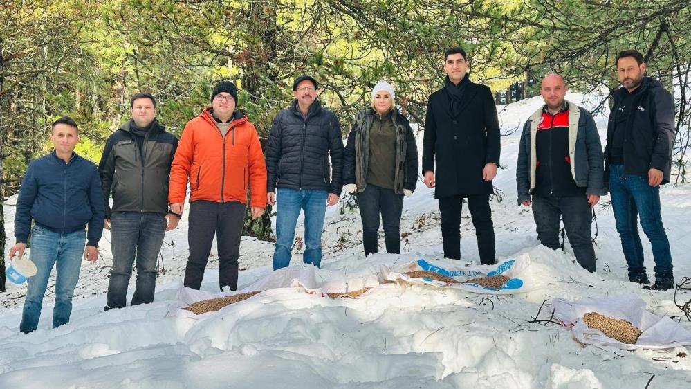 Havran İlçe Tarım ve Orman Müdürlüğü, kar yağışının etkili olduğu