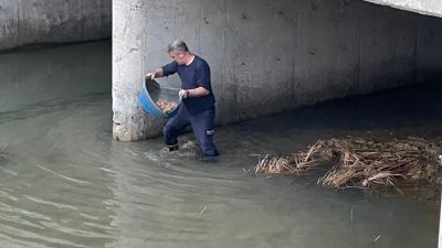 Ayvalık’ta köprü altında mahsur kalan kedi, itfaiye ekipleri tarafından kurtarıldı.