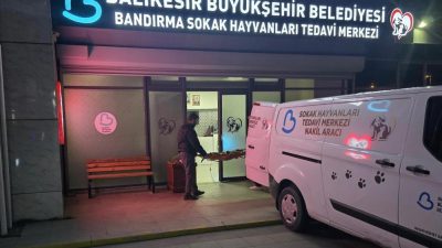 Kapıdağ Kirazlı Manastırı yakınlarında silahla vurulmuş yaralı sokak köpeğini Balıkesir