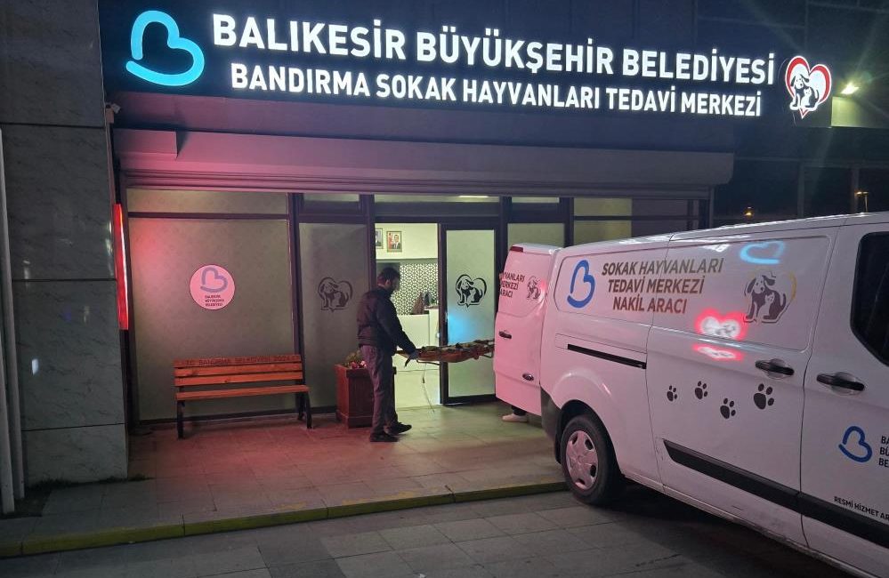 Büyükşehir Belediyesi ekipleri, ateşli silahla vurulan köpeğini kurtarmak için seferber oldu Kapıdağ Kirazlı Manastırı yakınlarında silahla vurulmuş yaralı sokak köpeğini Balıkesir