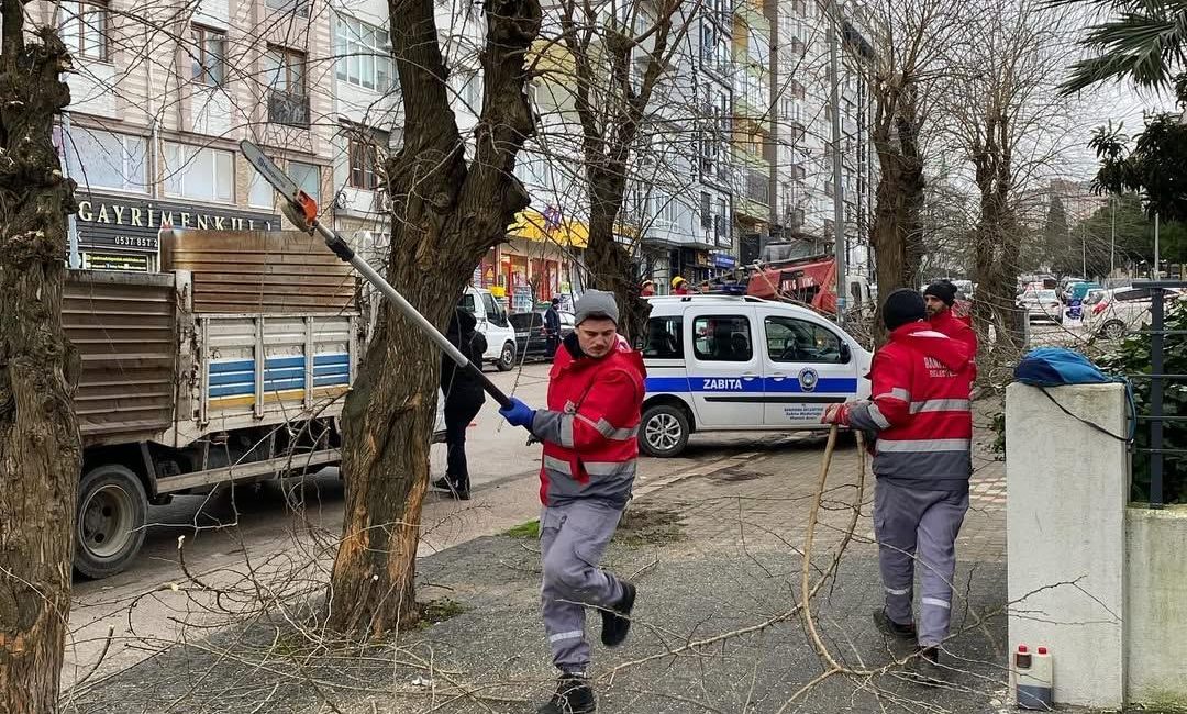 Bandırma’da ağaç budama çalışmaları devam ediyor Bandırma Belediyesi tarafından Mehmetçik Caddesi’nde başlatılan ağaç budama çalışmalarının, tüm