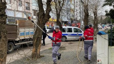 Bandırma Belediyesi tarafından Mehmetçik Caddesi’nde başlatılan ağaç budama çalışmalarının, tüm