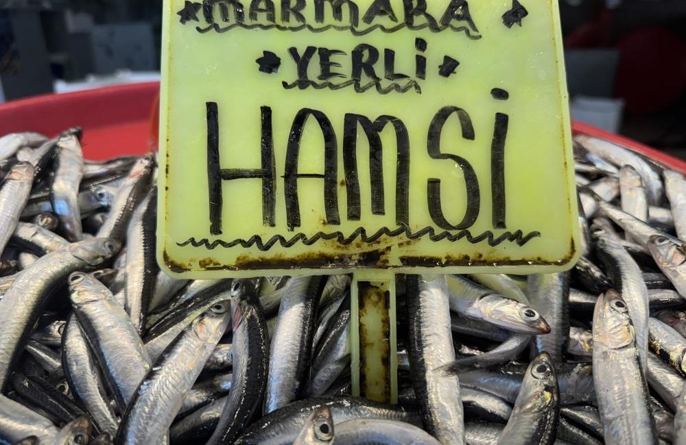 Marmara Bölgesi’ni etkisi altına alan yoğun kar yağışının ardından Balıkesir