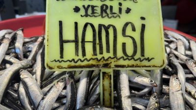 Marmara Bölgesi’ni etkisi altına alan yoğun kar yağışının ardından Balıkesir