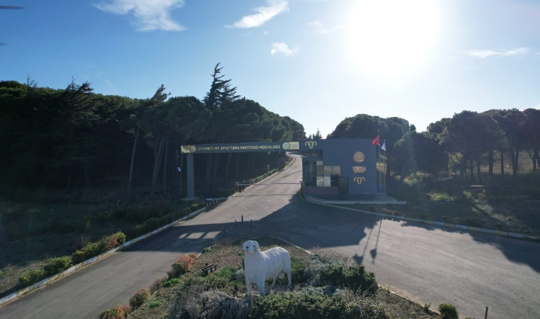 Balıkesir’de Tarım ve Hayvancılık için güçlü iş birliği Balıkesir İl Tarım ve Orman Müdürü Dr. Hüseyin Düzgün ile