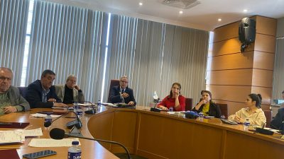 Paşakent Mahallesi’nde içinde 52 çam ağacının bulunduğu, belediye ait konut