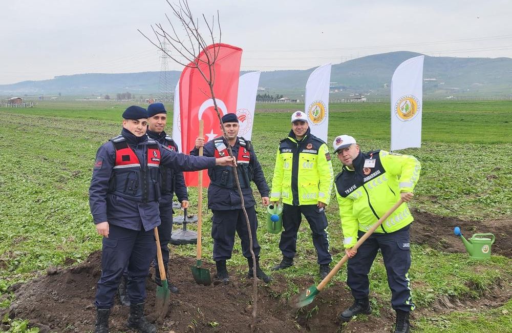 Balıkesir’de ağaçlandırma çalışmaları devam ediyor Balıkesir’de Orman Bölge Müdürlüğü, yol kenarı ağaçlandırma çalışmalarına devam ederken,