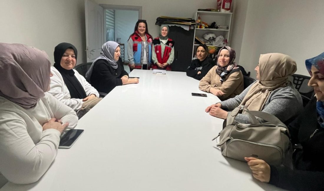 Bandırma Aile Destek Merkezi kursiyerlerine “Üreme Sağlığı Eğitimi” Bandırma Aile Destek Merkezi kursiyerlerine yönelik gerçekleştirilen eğitimde üreme sağlığı,