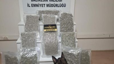 Balıkesir’de polis ekipleri tarafından yapılan uyuşturucu operasyonunda 12 kilogram esrar