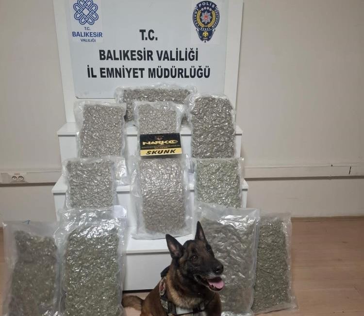 Balıkesir’de polis ekipleri tarafından yapılan uyuşturucu operasyonunda 12 kilogram esrar