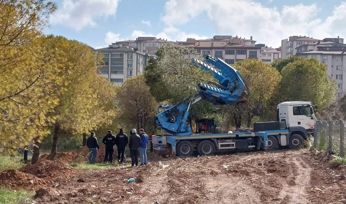 Bandırma Belediyesi’nin Paşakent Mahallesi’ndeki imarlı arsada yer alan ağaçları sökerek