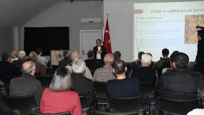 Balıkesir Büyükşehir Belediyesi’nin koordinatörlüğünde Balıkesir Üniversitesi, Balıkesir Arı Yetiştiricileri Birliği