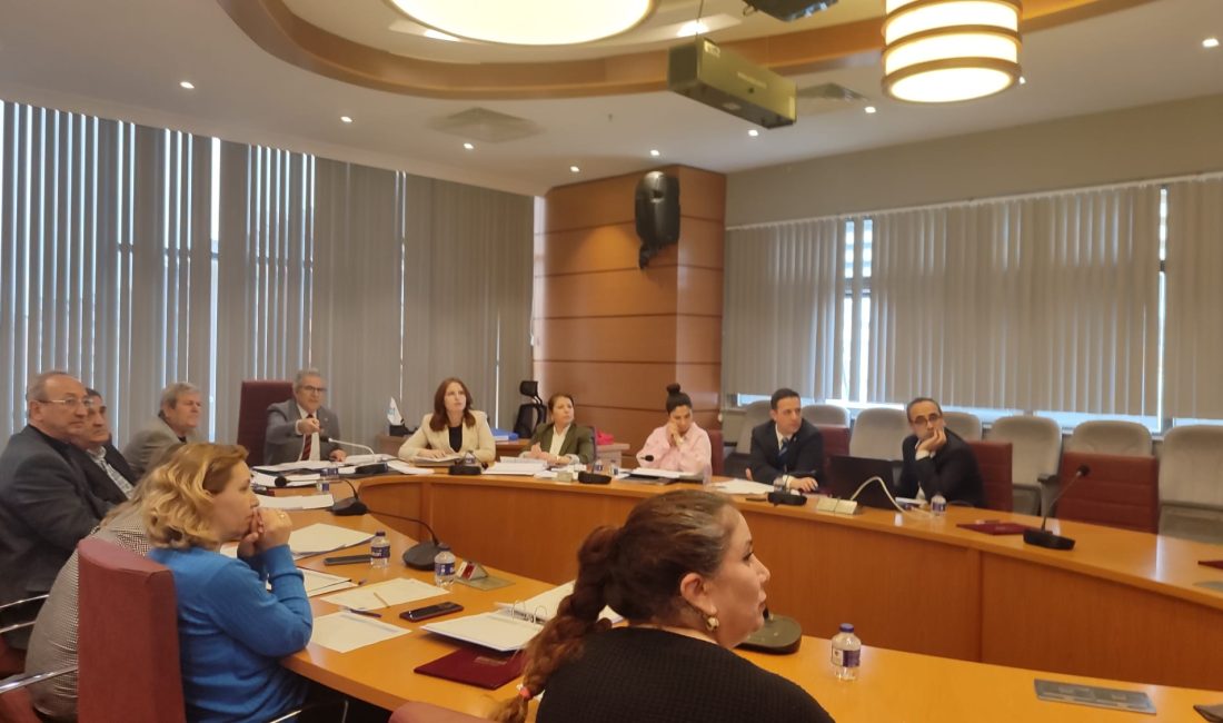 Paşakent Mahallesi’nde içinde çam ağaçlarının bulunduğu, belediye ait konut alanı