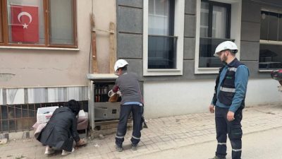 Erdek’te trafoya girerek telef olan kedi, elektrik kesintisine yol açtı.