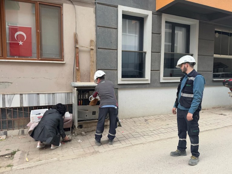 Erdek’te trafoya girerek telef olan kedi, elektrik kesintisine yol açtı.