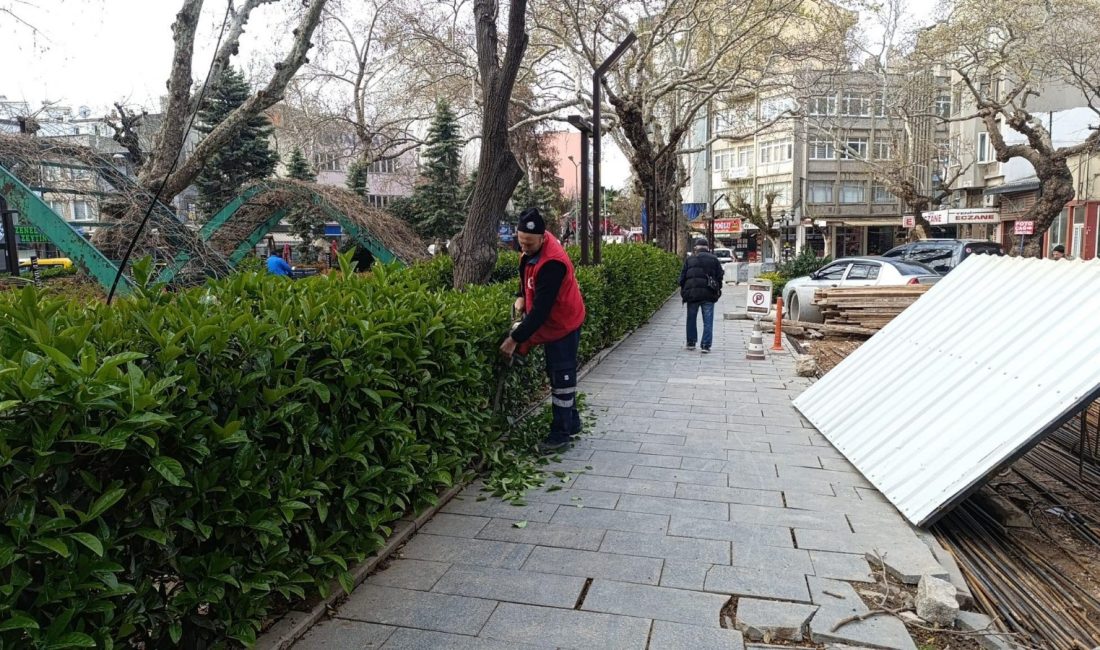 Erdek Belediyesi, ilçedeki yabani otları ortadan kaldırmak için ilaçlama çalışmalarına
