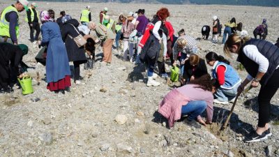  Aile ve Sosyal Hizmetler Bakanlığı tarafından ilan edilen “Aile Yılı”