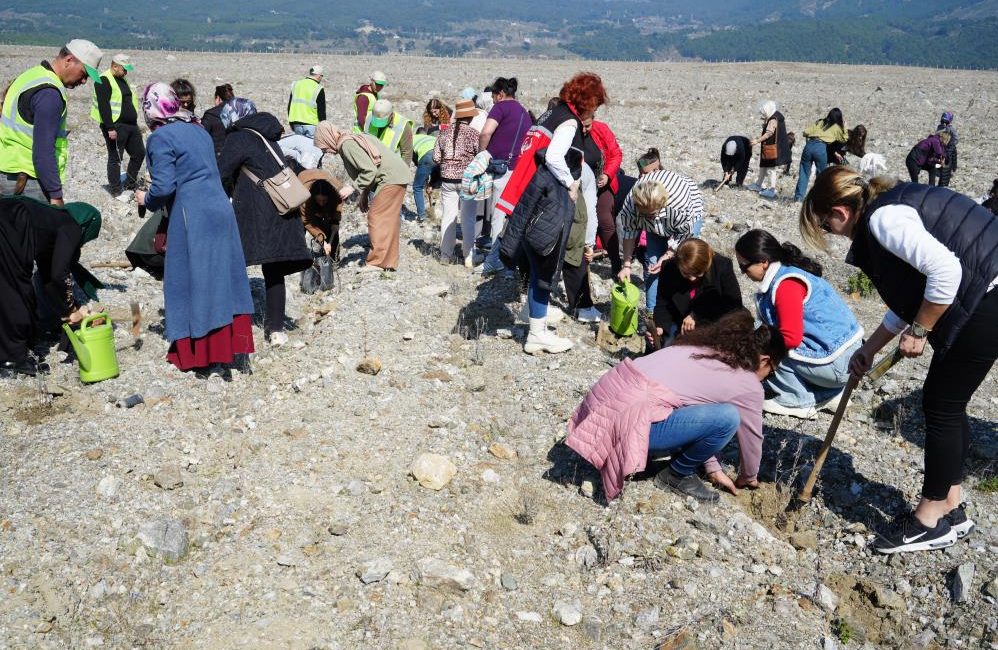  Aile ve Sosyal Hizmetler Bakanlığı tarafından ilan edilen “Aile Yılı”