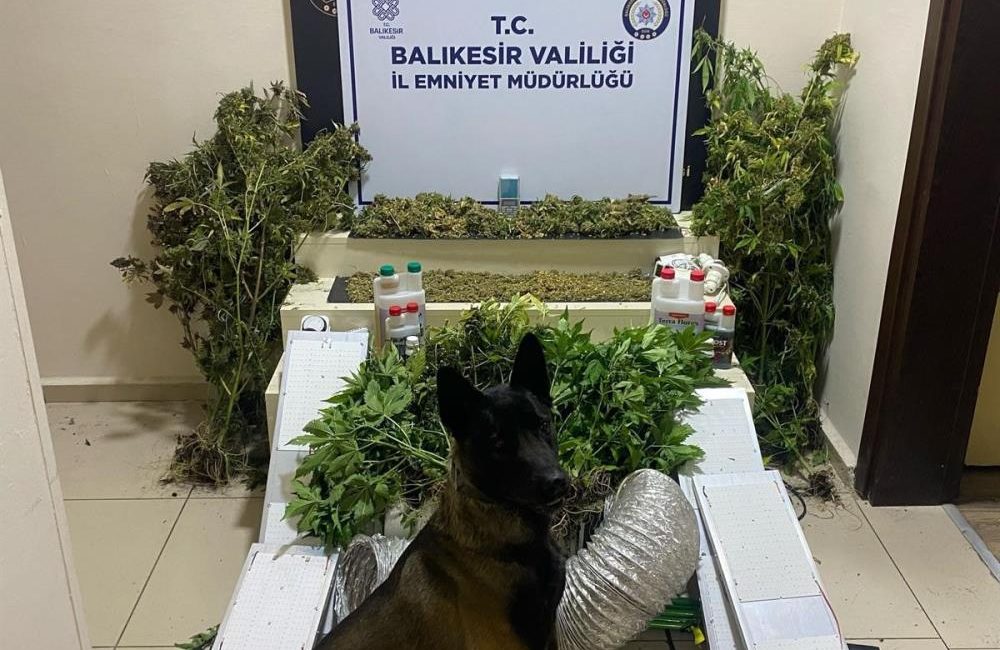 Bandırma’da zehir tacirlerine geçit yok: 1 gözaltı Bandırma’da uyuşturucu madde ve çeşitli ekipmanlar ele geçirildi, 1 şüpheli