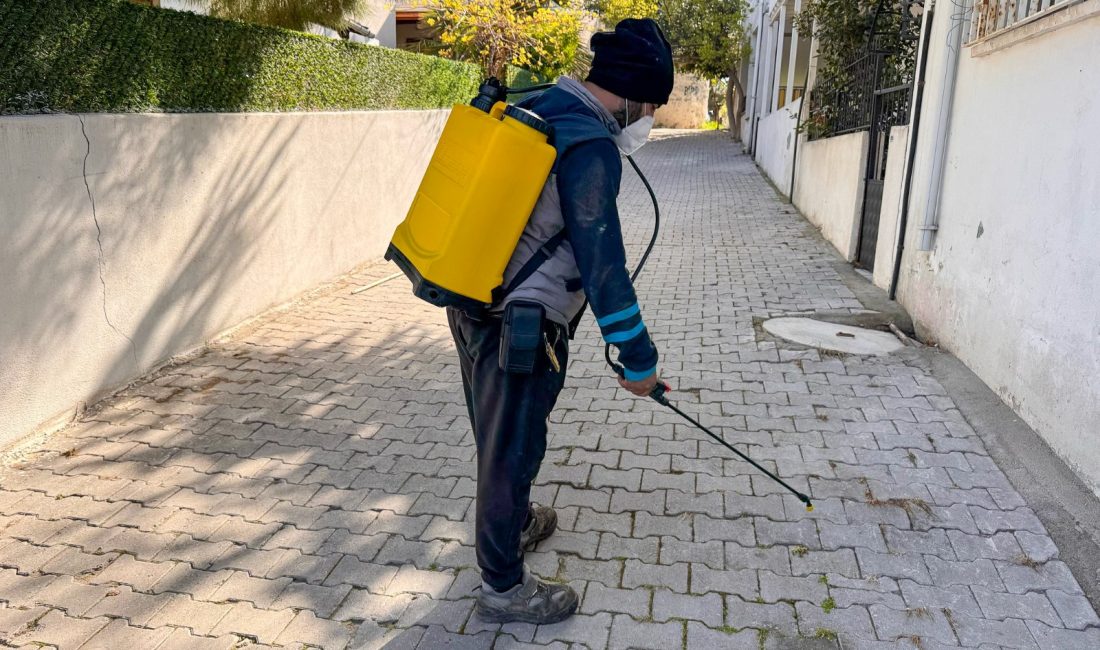 Marmara Adalar Belediyesi ekipleri, ilçe genelinde temizlikten budamaya, ilaçlamadan pazar