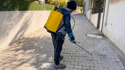 Marmara Adalar Belediyesi ekipleri, ilçe genelinde temizlikten budamaya, ilaçlamadan pazar