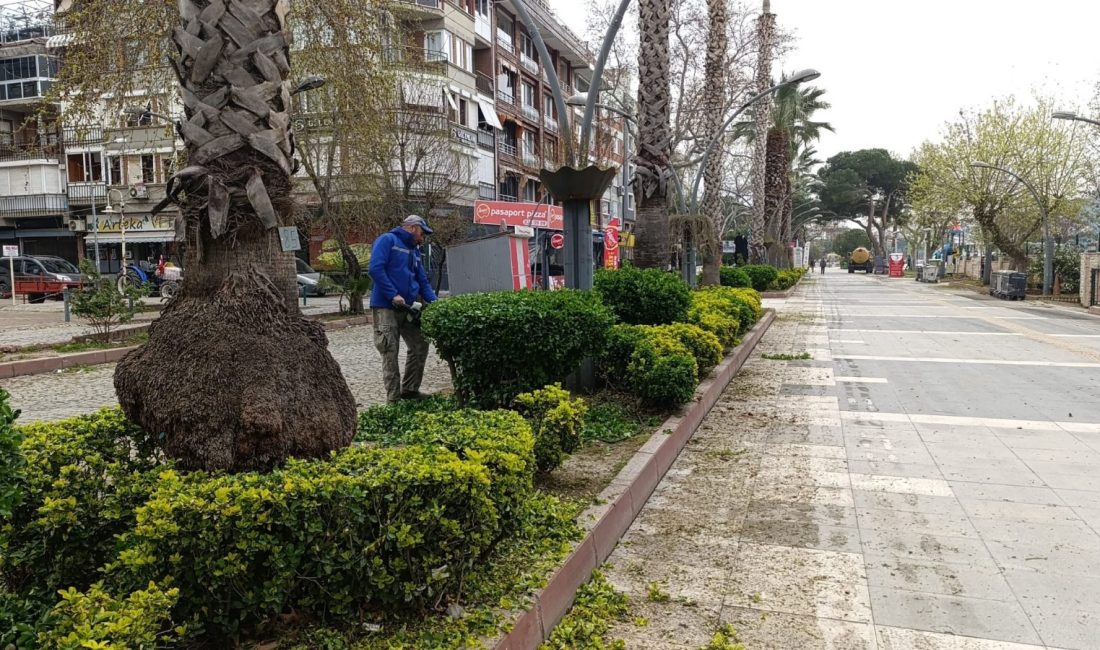 Erdek Belediyesi’nden yeşil alanlara yaz bakımı Erdek Belediyesi tarafından yaz aylarına hazırlık çalışmaları kapsamında ilçe genelinde
