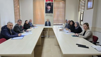Bandırma Kaymakamı Engin Aksakal, ilçede sahipsiz hayvanlarla ilgili yürütülen çalışmaları