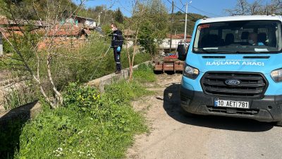 Balıkesir Büyükşehir Belediyesi, yaz aylarında artış gösteren haşere yoğunluğuna karşı