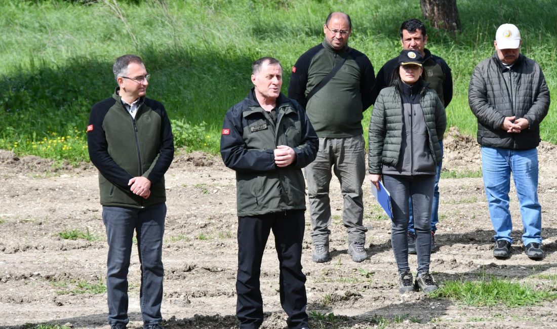 Balıkesir’de orman ekiplerine sezon öncesi tatbikatlı hazırlık Balıkesir Orman Bölge Müdürlüğü, yangınla mücadele ekiplerine yönelik yaz sezonu
