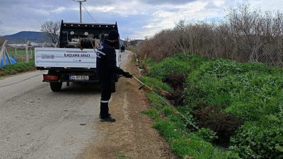 Balıkesir Büyükşehir Belediyesi, sivrisinek ve haşerelere karşı mücadelesini yıl boyu