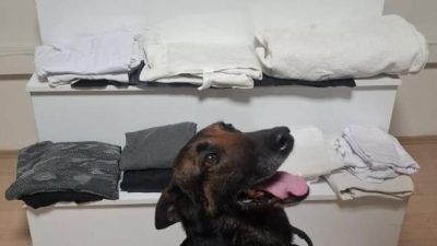 Balıkesir’de narkotik ekiplerince gerçekleştirilen uyuşturucu operasyonunda 6 kilo 887 gram